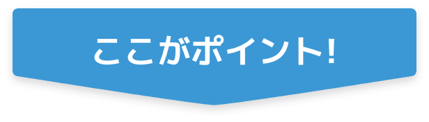 ここがポイント!