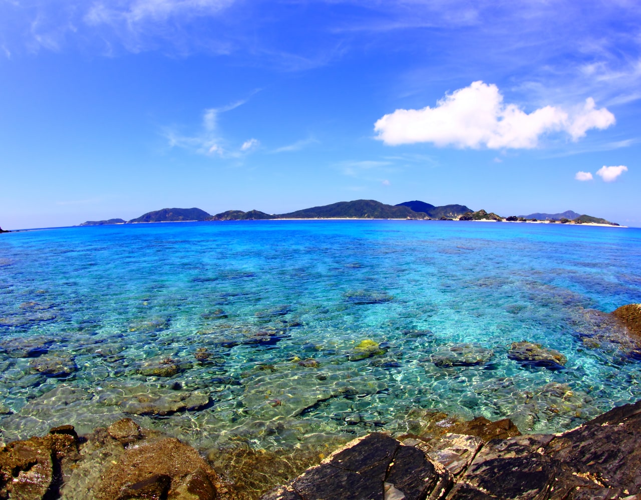 海が直面している危機