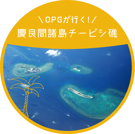 OPGが行く!慶良間諸島チービシ礁